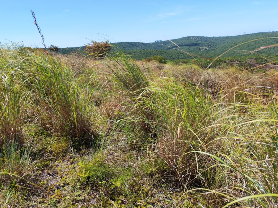 Commercial Property for Sale in Komga Rural Eastern Cape